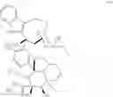 Fig. 33 - Protein-polymer-drug conjugates