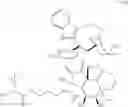 Fig. 40 - Protein-polymer-drug conjugates