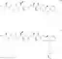 Fig. 75 - Protein-polymer-drug conjugates