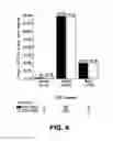 Fig. 05 - NOVEL ANTITUMORAL USE OF CABAZITAXEL