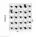 Fig. 06 - IMMUNOGENIC WT-1 PEPTIDES AND METHODS OF USE THEREOF