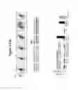 Fig. 07 - IMMUNOGENIC WT-1 PEPTIDES AND METHODS OF USE THEREOF
