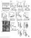 Fig. 08 - Compositions and Treatment Methods for Mesenchymal Stem Cell-Induced Immunoregulation