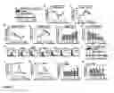 Fig. 11 - Compositions and Treatment Methods for Mesenchymal Stem Cell-Induced Immunoregulation