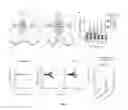 Fig. 06 - IDENTIFICATION OF DISEASE-DRIVING ANTIGENS