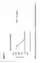 Fig. 12 - Methods of inhibiting activation of complement component C4 with anti-C1s antibodies