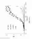 Fig. 23 - Compositions and Methods for the Therapy and Diagnosis of Influenza