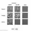 Fig. 26 - Compositions and Methods for the Therapy and Diagnosis of Influenza