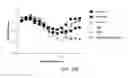 Fig. 28 - Compositions and Methods for the Therapy and Diagnosis of Influenza