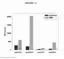 Fig. 29 - Human Antibodies and Specific Binding Sequences Thereof for use in Stroke and Ischemia or Ischemic Conditions