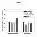 Fig. 33 - Human Antibodies and Specific Binding Sequences Thereof for use in Stroke and Ischemia or Ischemic Conditions