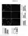 Fig. 34 - Human Antibodies and Specific Binding Sequences Thereof for use in Stroke and Ischemia or Ischemic Conditions