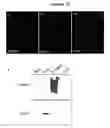 Fig. 41 - Human Antibodies and Specific Binding Sequences Thereof for use in Stroke and Ischemia or Ischemic Conditions