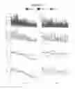 Fig. 53 - Human Antibodies and Specific Binding Sequences Thereof for use in Stroke and Ischemia or Ischemic Conditions
