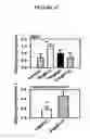 Fig. 63 - Human Antibodies and Specific Binding Sequences Thereof for use in Stroke and Ischemia or Ischemic Conditions