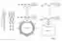 Fig. 03 - Ubiquitinylated proteins