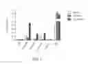 Fig. 08 - Ubiquitinylated proteins