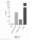 Fig. 09 - Ubiquitinylated proteins