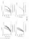 Fig. 12 - Ubiquitinylated proteins