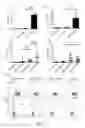 Fig. 13 - Ubiquitinylated proteins