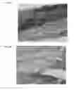 Fig. 07 - COMPOSITIONS AND METHODS FOR TISSUE REPAIR