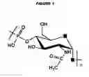 Fig. 02 - Meningococcus serogroup X conjugate