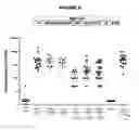 Fig. 09 - Meningococcus serogroup X conjugate
