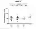 Fig. 13 - Meningococcus serogroup X conjugate