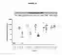 Fig. 17 - Meningococcus serogroup X conjugate