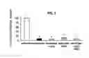 Fig. 06 - Use of CPG oligonucleotides co-formulated with an antibiotic to accelerate wound healing