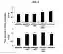 Fig. 07 - Use of CPG oligonucleotides co-formulated with an antibiotic to accelerate wound healing