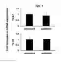 Fig. 08 - Use of CPG oligonucleotides co-formulated with an antibiotic to accelerate wound healing
