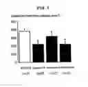 Fig. 05 - THERAPEUTIC AGENT FOR CEREBRAL INFARCTION