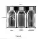 Fig. 09 - Therapeutic for treating infection