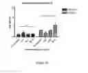 Fig. 16 - Therapeutic for treating infection