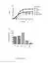 Fig. 04 - ENHANCED NITRIC OXIDE DELIVERY AND USES THEREOF