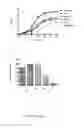 Fig. 06 - ENHANCED NITRIC OXIDE DELIVERY AND USES THEREOF