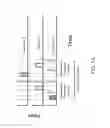 Fig. 07 - Multi-metal films, alternating film multilayers, formation methods and deposition system