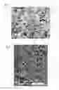 Fig. 03 - Seal structure of fluid device