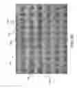 Fig. 17 - INSULATED COMPOSITE FABRICS