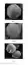 Fig. 02 - OXIDE CATHODE MATERIAL FOR LITHIUM ION BATTERY HAVING HIGH ENERGY DENSITY AND PREPARATION PROCESS THEREOF