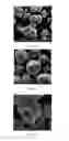 Fig. 05 - OXIDE CATHODE MATERIAL FOR LITHIUM ION BATTERY HAVING HIGH ENERGY DENSITY AND PREPARATION PROCESS THEREOF