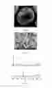 Fig. 06 - OXIDE CATHODE MATERIAL FOR LITHIUM ION BATTERY HAVING HIGH ENERGY DENSITY AND PREPARATION PROCESS THEREOF