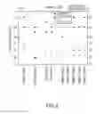 Fig. 07 - TONER ADDITIVES FOR TUNABLE GLOSS