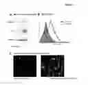 Fig. 04 - Detection and treatment of cancer