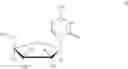 Fig. 04 - GEMCITABINE IMMUNOASSAY