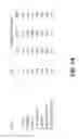 Fig. 02 - Levels and/or Sustainability of DNA-based Gene Expression
