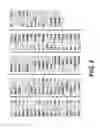 Fig. 04 - Levels and/or Sustainability of DNA-based Gene Expression