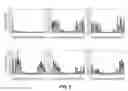 Fig. 12 - Levels and/or Sustainability of DNA-based Gene Expression