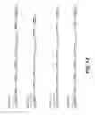 Fig. 83 - Levels and/or Sustainability of DNA-based Gene Expression
